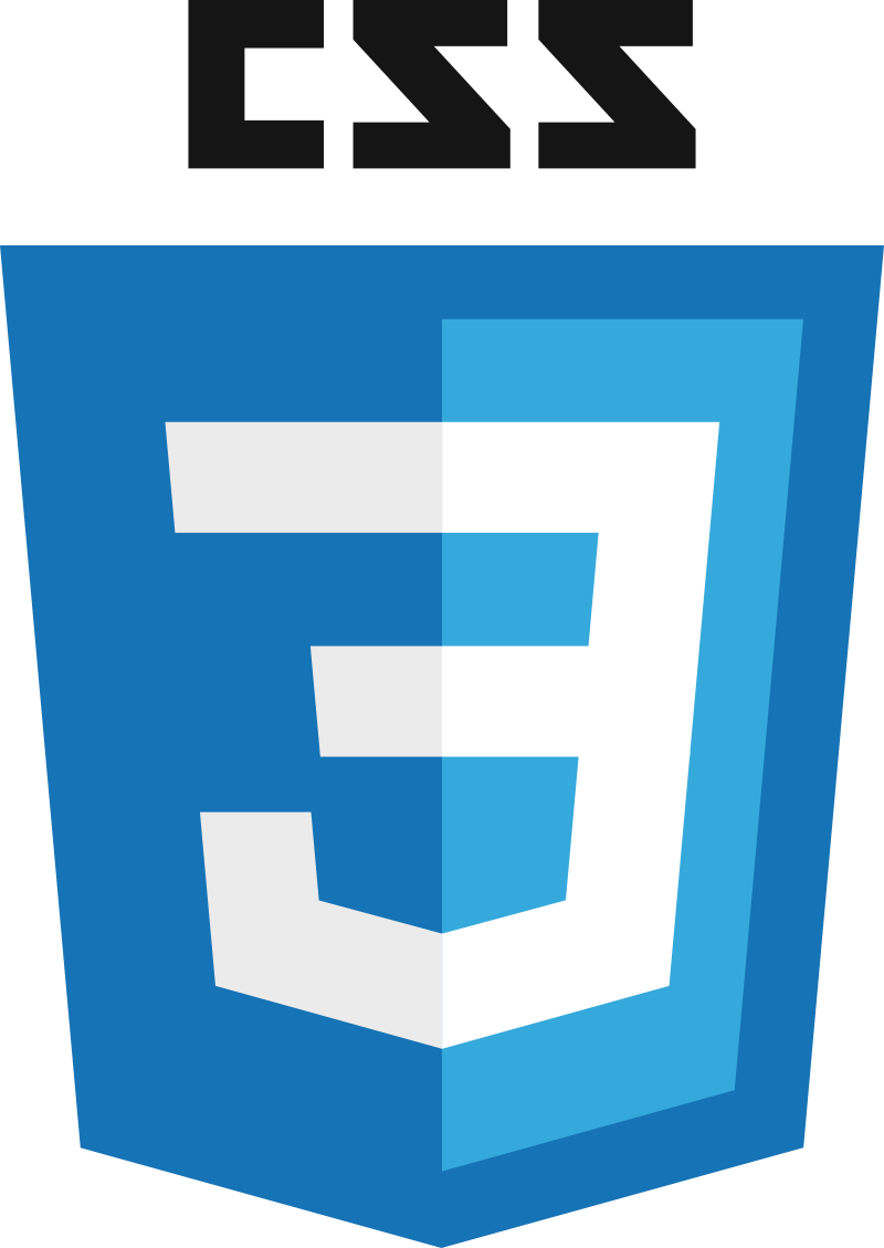 CSS Logo